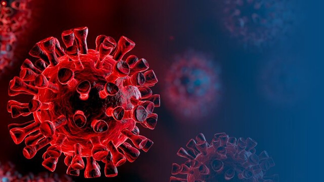 درباره کرونا ویروس بیشتر بدانید